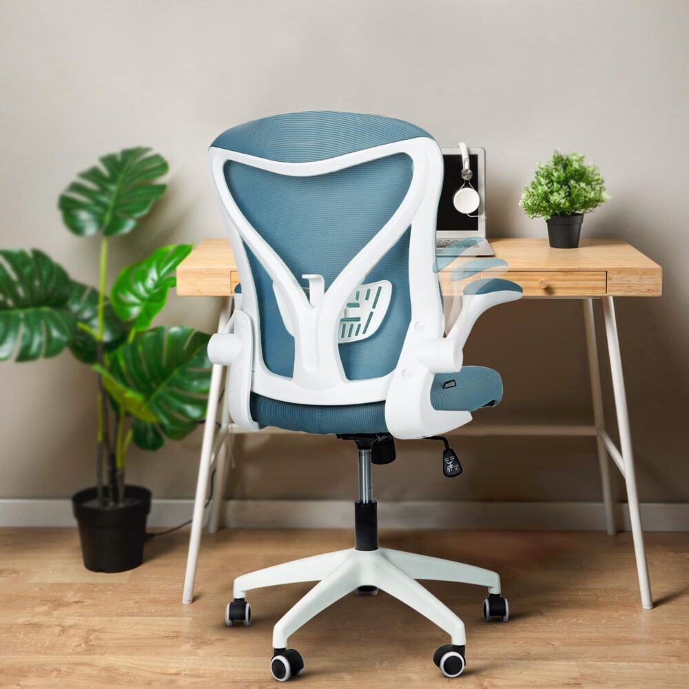 Premium Ergonomic Office Chair